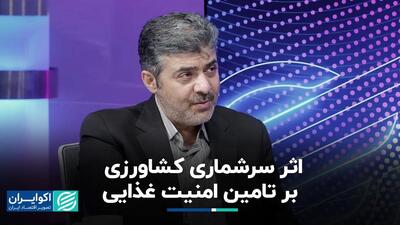 سرشماری کشاورزی و امنیت غذایی