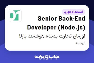 استخدام Senior Back-End Developer (Node.js) در اورمان تجارت پدیده هوشمند پارلا