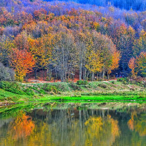 از طبیعت زیبا و تماشایی رودبار تا طبیعت خوزستان و گلستان