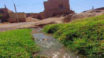 گشت و گذار در روستای شوراب علیا + فیلم