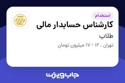 استخدام کارشناس حسابدار مالی در طلاپ