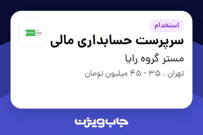 استخدام سرپرست حسابداری مالی - آقا در مستر گروه رایا