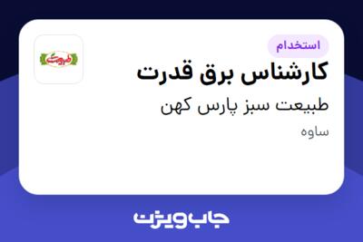 استخدام کارشناس برق قدرت - آقا در طبیعت سبز پارس کهن