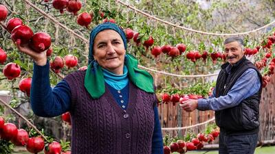 دستور پخت نوشیدنی‌ها و دسرهای خوشمزه با انار به سبک روستایی آذربایجان (فیلم)