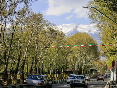 اخطار به شهرداری تهران برای عدم قطع درختان خیابان ولیعصر