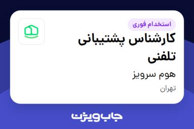 استخدام کارشناس پشتیبانی تلفنی - خانم در هوم سرویز