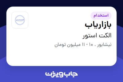 استخدام بازاریاب در الکت استور