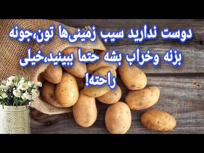 روش نگهداری طولانی مدت سیب زمینی / ترفند سالم موندن سیب زمینی