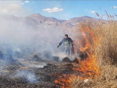 مقابله جدی با برگ‌سوزی و پسماندسوزی در دماوند