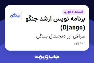 استخدام برنامه نویس ارشد جنگو (Django) در صرافی ارز دیجیتال پینگی