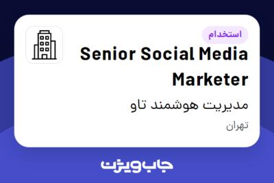 استخدام Senior Social Media Marketer در مدیریت هوشمند تاو