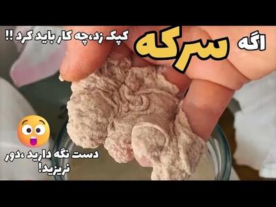 اگه سرکه مون کپک زدچه کار کنم بیشترین سوالی که میشه!