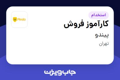 استخدام کارآموز فروش در پیندو