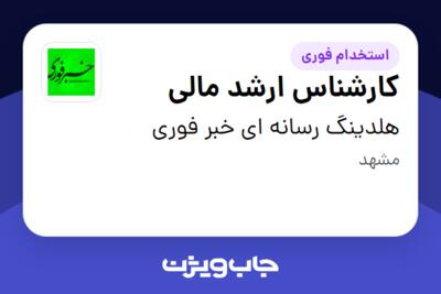 استخدام کارشناس ارشد مالی در هلدینگ رسانه ای خبر فوری