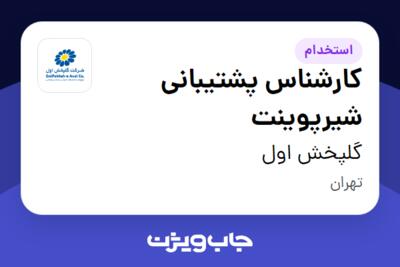استخدام کارشناس پشتیبانی شیرپوینت در گلپخش اول