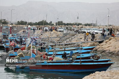 ایمنی ۴۵۶ فروند قایق صیادی در بنادر غرب هرمزگان ارزیابی شد