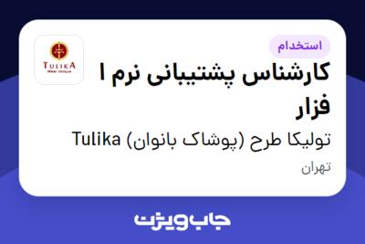 استخدام کارشناس پشتیبانی نرم ا فزار در تولیکا طرح (پوشاک بانوان) Tulika