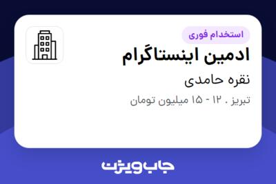 استخدام ادمین اینستاگرام - خانم در نقره حامدی