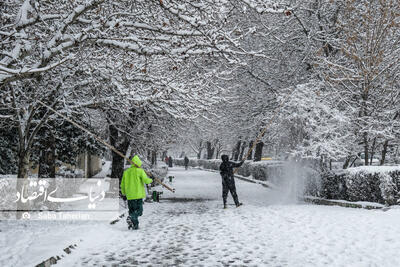 آخرین وضعیت ترافیکی محورهای شمالی/ برف و باران و مه در محورهای ۱۴ استان