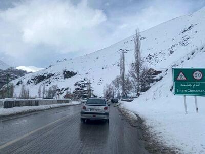 برف و باران و مه در محورهای ۱۴ استان/ انسداد شبانه هراز تا فردا