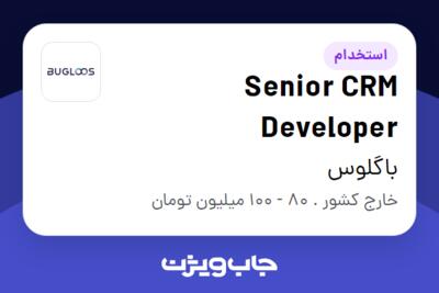 استخدام Senior CRM Developer در باگلوس