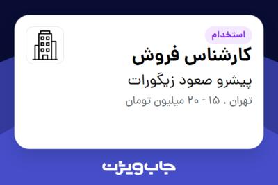 استخدام کارشناس فروش - خانم در پیشرو صعود زیگورات