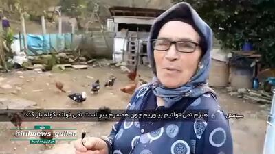 هیزم منبع گرمارسانی به خانه‌ های جانشرود سیاهکل