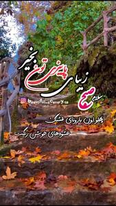 جملات سلام صبح بخیر برای ارسال + فیلم
