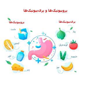 برای روده‌های سالم فقط پروبیوتیک‌ کافی نیستند