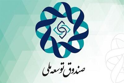 سهم صندوق توسعه ملی از درآمدهای نفتی ۴۸ درصد تعیین شد