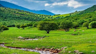 دشت زیبای گهواره در لرستان+فیلم