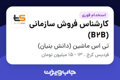 استخدام کارشناس فروش سازمانی (B2B) - خانم در تی اس ماشین (دانش بنیان)