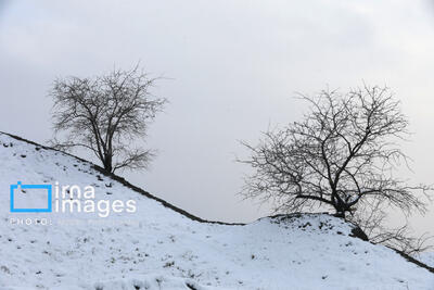 سپیدپوش شدن مناطق کوهستانی کردستان