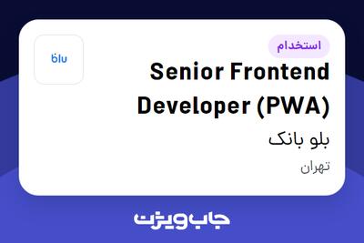 استخدام Senior Frontend Developer (PWA) در بلو بانک