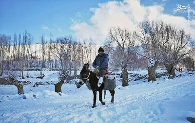 عکس/ بارش برف در روستای لیقوان تبریز