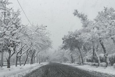 تمام جاده های استان زنجان لغزنده و یخبندان است