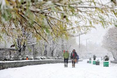 سرمای زیر صفر در راه تهران