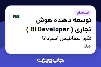 استخدام توسعه دهنده هوش تجاری ( BI Developer ) در فکور مغناطیس اسپادانا