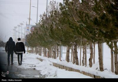 سنقر   با دمای منفی 12 سردترین نقطه استان کرمانشاه شد - تسنیم