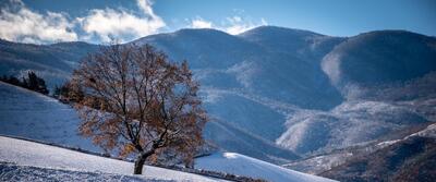 تصاویر/ بارش برف پاییزی در گلستان