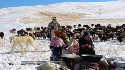 غذای عشایری در افغانستان؛ پخت یک غذای سنتی با گوشت بره و برنج (فیلم)