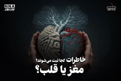 پادکست | خاطرات کجا ثبت می شوند ؟ مغز یا قلب