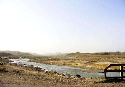 (ویدئو) فاجعه دردناک در فارس؛ ۵ میلیون قطعه ماهی تلف شدند