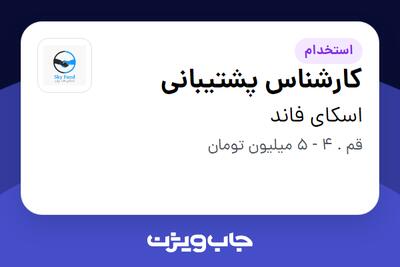 استخدام کارشناس پشتیبانی - خانم در اسکای فاند