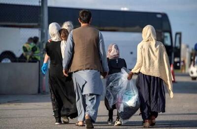 نماینده ملایر: باید بین ایران و افغانستان دیوارکشی کرد، ولی با مشکلات اقتصادی روبرو هستیم | اقتصاد24