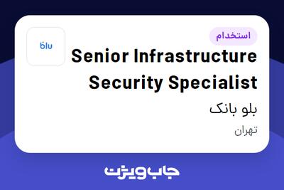 استخدام Senior Infrastructure Security Specialist در بلو بانک