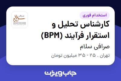 استخدام کارشناس تحلیل و استقرار فرآیند (BPM) در صرافی سلام