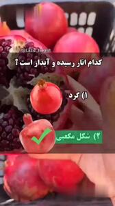 نکات مهم برای خریدن انار شب یلدا + فیلم