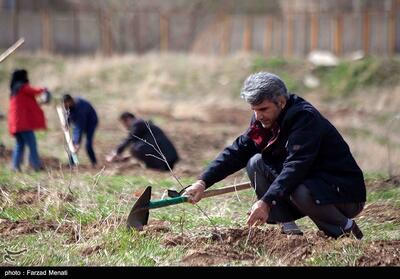 بوستان 50 هکتاری خانواده در جیرفت احداث می‌شود - تسنیم