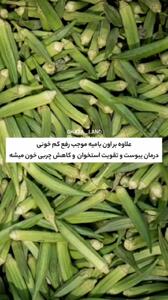 خواص معجزه آسای بامیه که نمی دانید! + فیلم